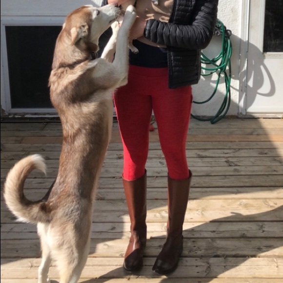 Frye Leather Boots Knee High-WILL TRADE FRYE BOOTS - Picture 12 of 12